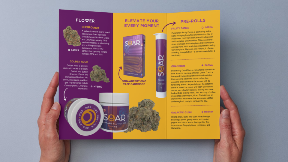 SOAR Cannabis Education Trifold