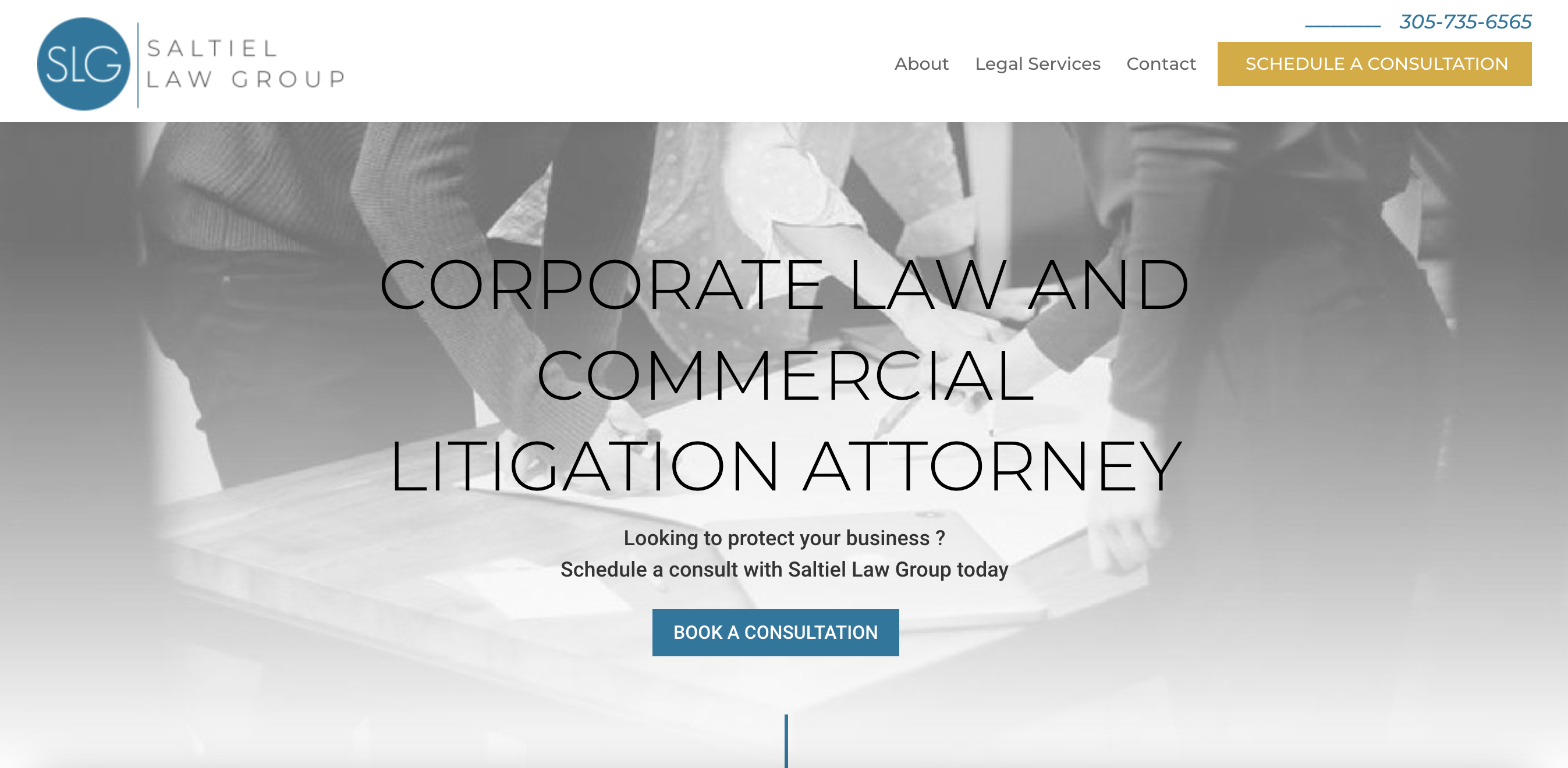 Saltiel Law Website